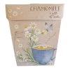 Sow N Sow Chamomile Gift Of Seeds
