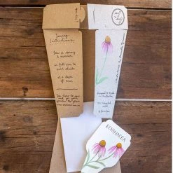 Sow N Sow Echinacea Gift Of Seeds Cards & Gifting