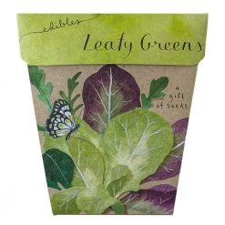 Sow N Sow Leafy Greens Gift Of Seeds