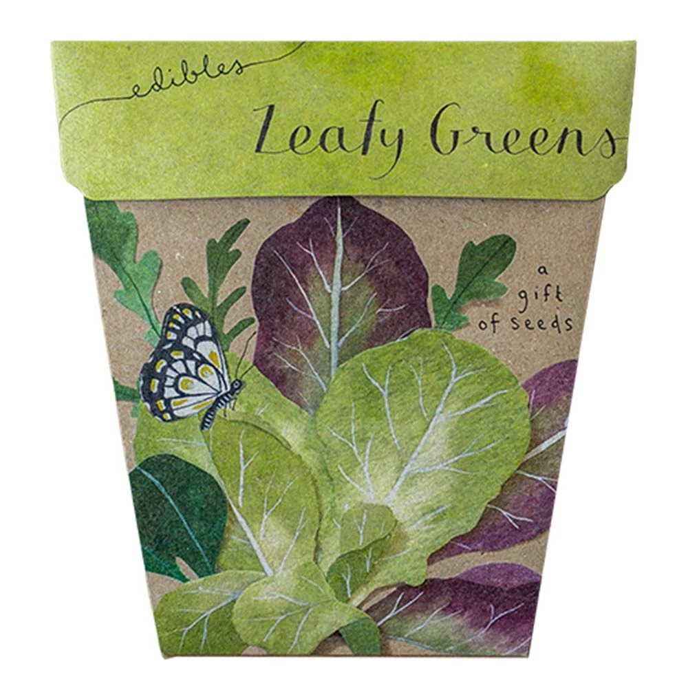 Sow N Sow Leafy Greens Gift Of Seeds 3 Sow N Sow Leafy Greens Gift Of Seeds