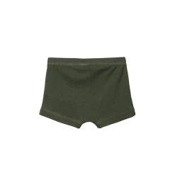 Nature Baby New Organic Boxer Shorts - Thyme