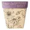 Sow N Sow Swan River Daisy Gift Of Seeds Sale